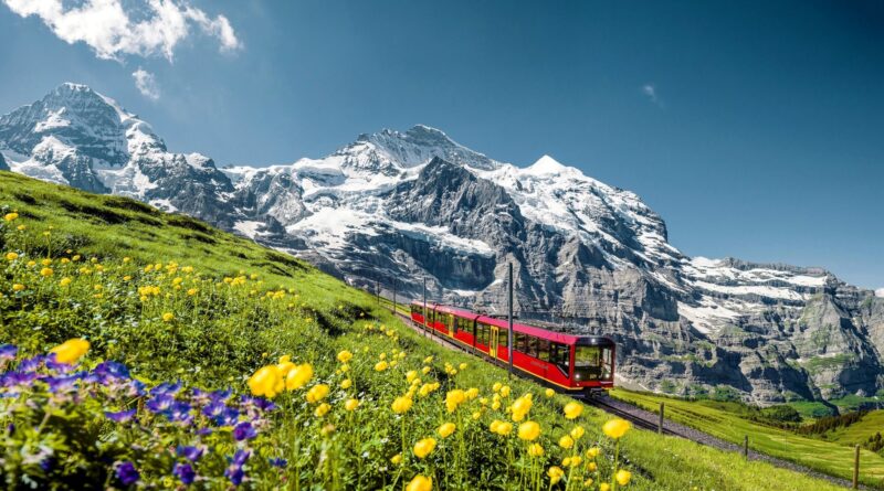 Hoa Nổi Tiếng ở Thụy Sĩ 1