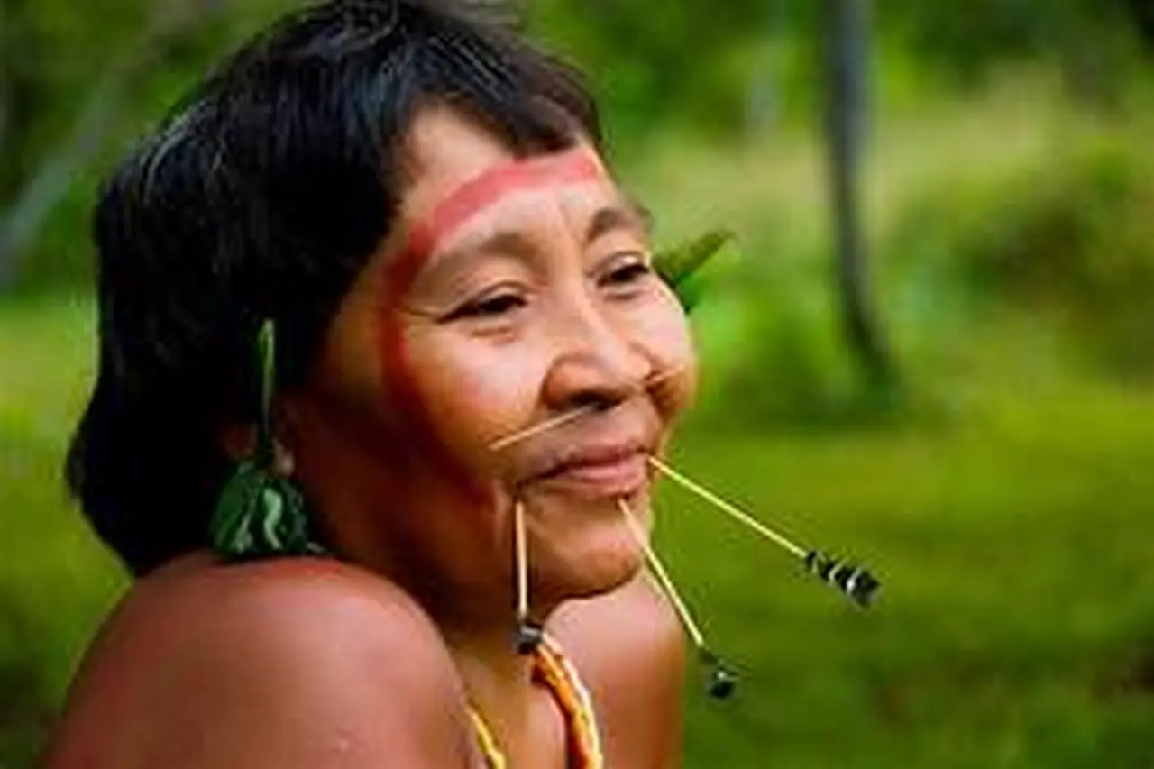 Hệ Sinh Thái Rừng Amazon 6